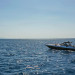 Baglietto 43ft